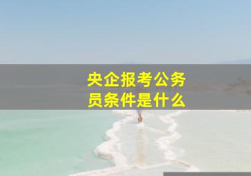 央企报考公务员条件是什么