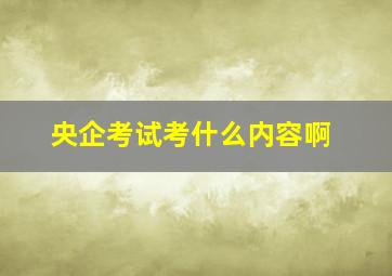 央企考试考什么内容啊