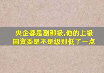 央企都是副部级,他的上级国资委是不是级别低了一点