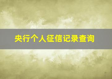 央行个人征信记录查询