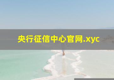 央行征信中心官网.xyc