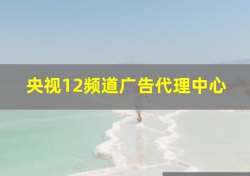 央视12频道广告代理中心