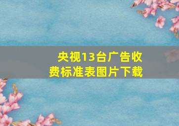 央视13台广告收费标准表图片下载