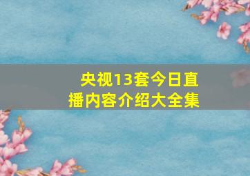 央视13套今日直播内容介绍大全集