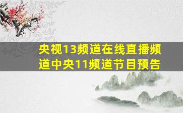 央视13频道在线直播频道中央11频道节目预告