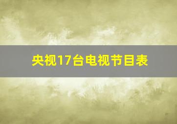 央视17台电视节目表