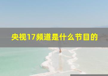 央视17频道是什么节目的