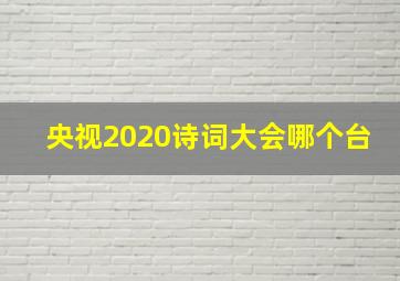 央视2020诗词大会哪个台