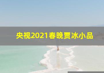 央视2021春晚贾冰小品