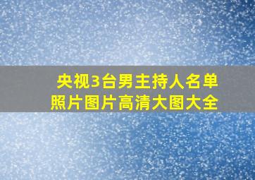 央视3台男主持人名单照片图片高清大图大全