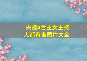 央视4台主女主持人都有谁图片大全