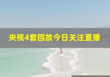 央视4套回放今日关注直播