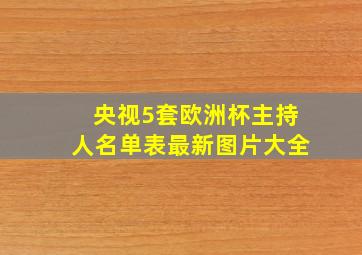 央视5套欧洲杯主持人名单表最新图片大全