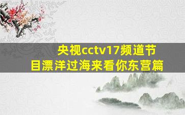 央视cctv17频道节目漂洋过海来看你东营篇