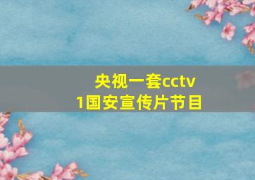 央视一套cctv1国安宣传片节目