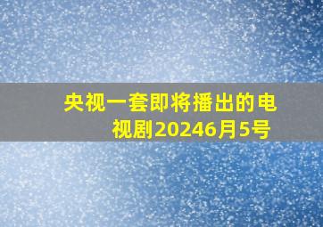 央视一套即将播出的电视剧20246月5号