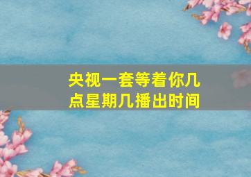 央视一套等着你几点星期几播出时间