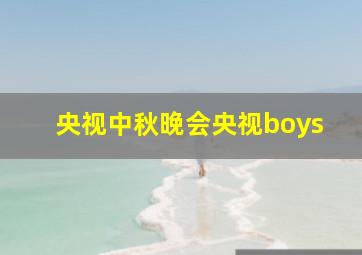 央视中秋晚会央视boys