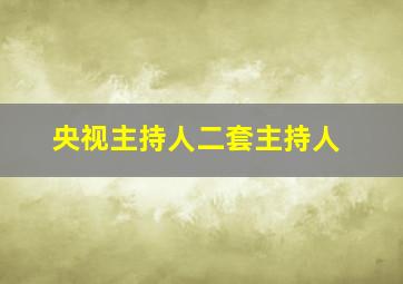 央视主持人二套主持人