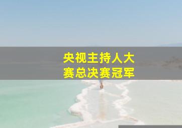 央视主持人大赛总决赛冠军