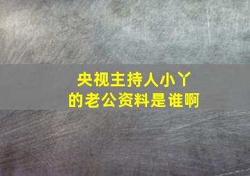 央视主持人小丫的老公资料是谁啊