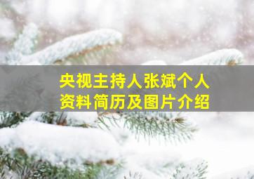 央视主持人张斌个人资料简历及图片介绍