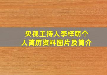 央视主持人李梓萌个人简历资料图片及简介