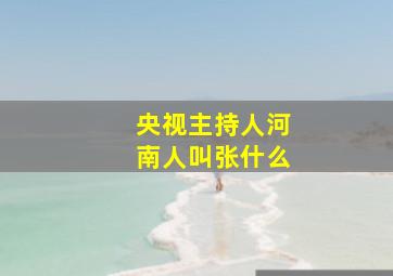 央视主持人河南人叫张什么