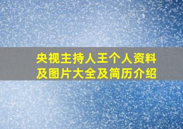 央视主持人王个人资料及图片大全及简历介绍