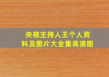 央视主持人王个人资料及图片大全集高清图