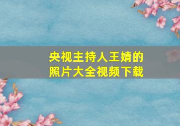 央视主持人王婧的照片大全视频下载