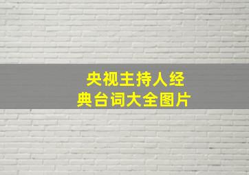 央视主持人经典台词大全图片