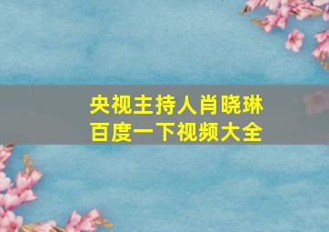 央视主持人肖晓琳百度一下视频大全