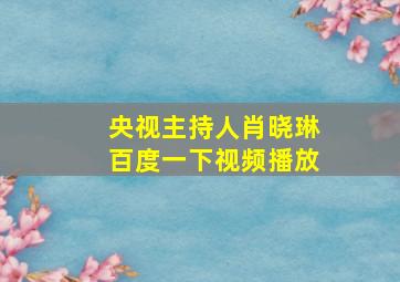 央视主持人肖晓琳百度一下视频播放