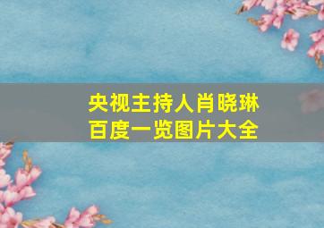 央视主持人肖晓琳百度一览图片大全