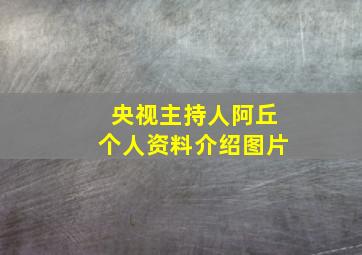 央视主持人阿丘个人资料介绍图片