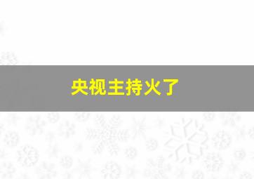 央视主持火了