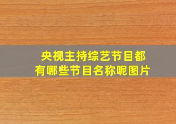 央视主持综艺节目都有哪些节目名称呢图片