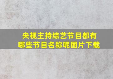 央视主持综艺节目都有哪些节目名称呢图片下载