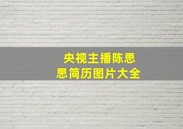 央视主播陈思思简历图片大全