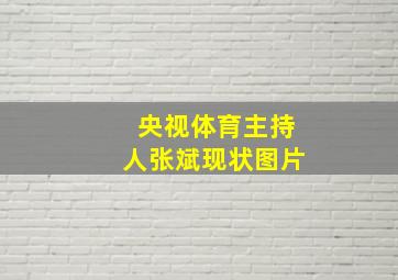 央视体育主持人张斌现状图片