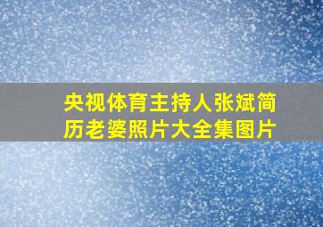 央视体育主持人张斌简历老婆照片大全集图片