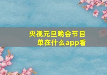 央视元旦晚会节目单在什么app看