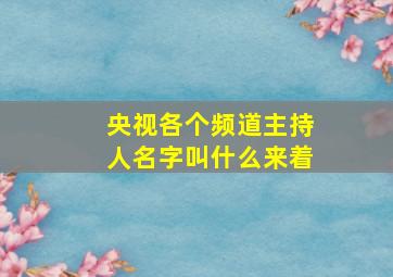 央视各个频道主持人名字叫什么来着