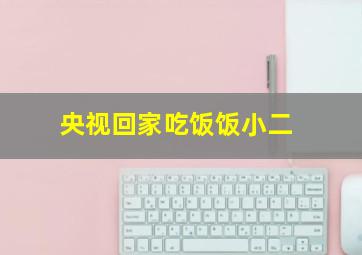 央视回家吃饭饭小二