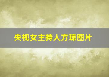 央视女主持人方琼图片