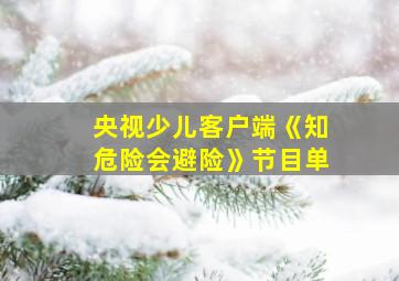 央视少儿客户端《知危险会避险》节目单