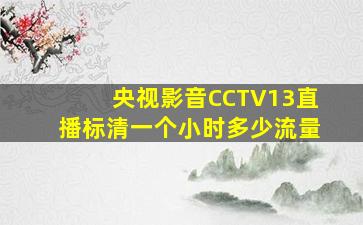 央视影音CCTV13直播标清一个小时多少流量