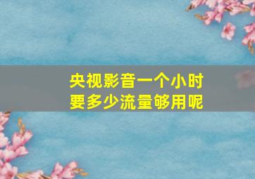 央视影音一个小时要多少流量够用呢