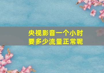 央视影音一个小时要多少流量正常呢